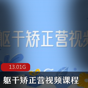 （躯干矫正营）教程