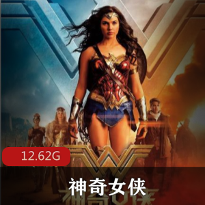 （神奇女侠）百度内部盘