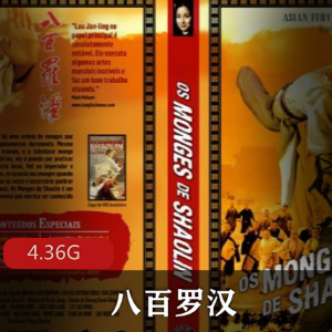 （八百罗汉）百度内部盘