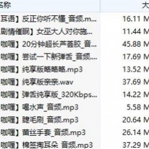 B站A失眠R舰长音频