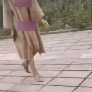 户外风筝展示视频合集，33.8G精彩内容，百度云资源单独下载，助你轻松收藏！