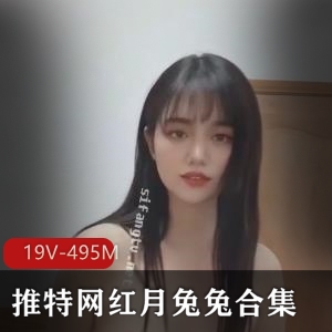 推特网红月兔兔高能精华合集19V495M，舞蹈颜值超赞