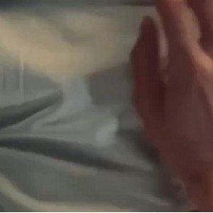 转载搬运91最新合集2V300M，百度盘分享