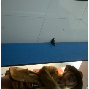 盘搜搜小蓝门厕所门64.7G近200部绝密珍藏