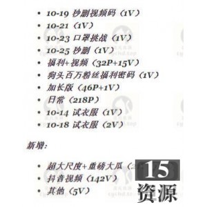 狗头妹子飞机场珍藏高清视频192部2.5G超绝