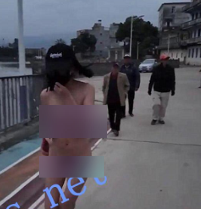 推特LiWaynix路人前大胆调戏合集6部1.3G太顶了