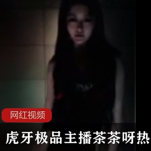 茶茶呀超辣宅舞合集20部虎牙1.92G后视镜都不敢看