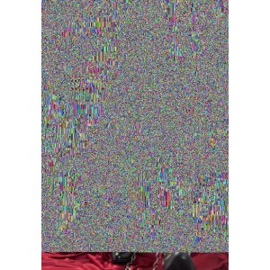 22G容量RLL工作室37部SM绳艺束缚合集暗夜秘玩