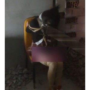 欢乐谷系列小狗指教劲爆视频3V13G身段绝了